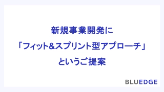 新規事業開発に「フィット&スプリント型アプローチ」というご提案